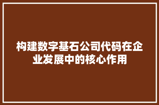 构建数字基石公司代码在企业发展中的核心作用  第1张