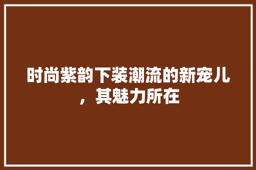时尚紫韵下装潮流的新宠儿，其魅力所在