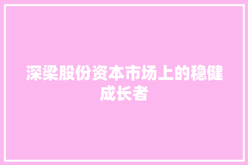 深梁股份资本市场上的稳健成长者