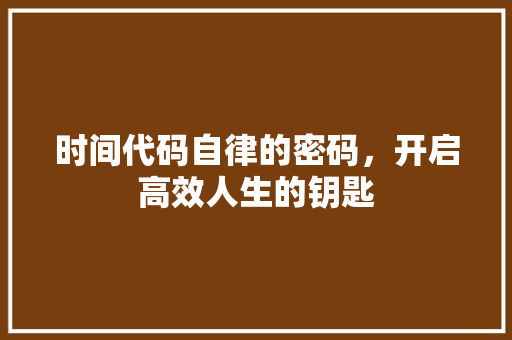 时间代码自律的密码，开启高效人生的钥匙