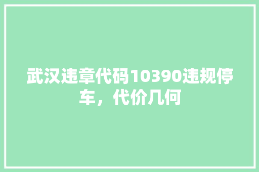 武汉违章代码10390违规停车，代价几何