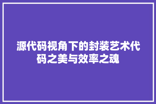 源代码视角下的封装艺术代码之美与效率之魂