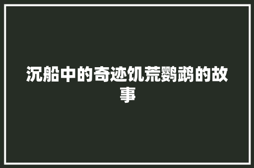 沉船中的奇迹饥荒鹦鹉的故事
