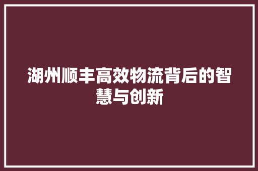 湖州顺丰高效物流背后的智慧与创新