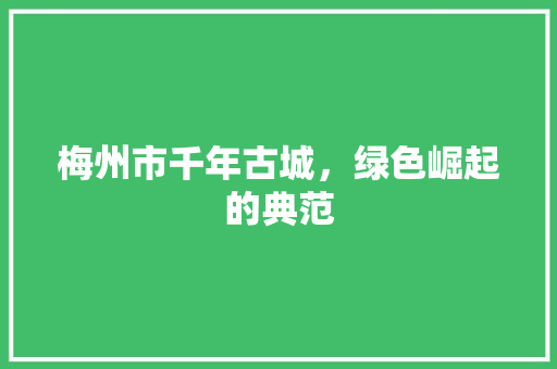 梅州市千年古城，绿色崛起的典范  第1张