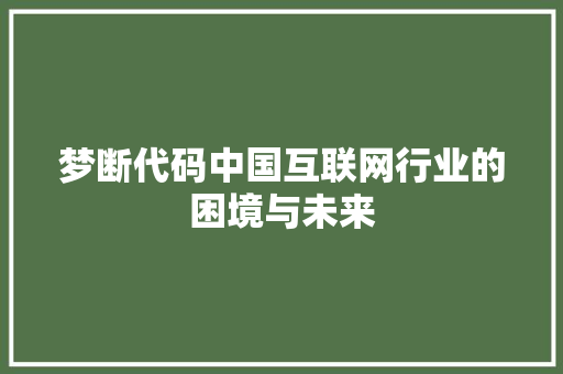 梦断代码中国互联网行业的困境与未来  第1张