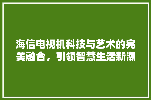 海信电视机科技与艺术的完美融合，引领智慧生活新潮流