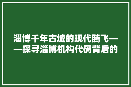 淄博千年古城的现代腾飞——探寻淄博机构代码背后的故事