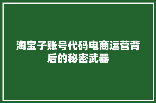 淘宝子账号代码电商运营背后的秘密武器