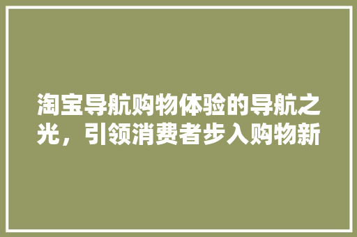 淘宝导航购物体验的导航之光，引领消费者步入购物新时代