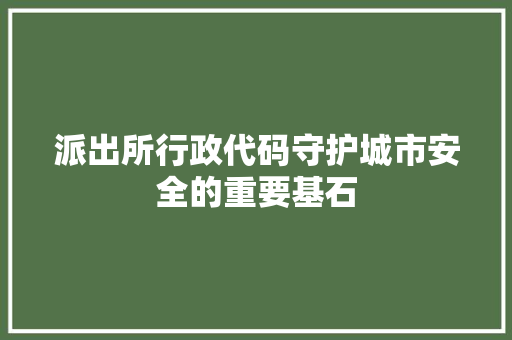 派出所行政代码守护城市安全的重要基石