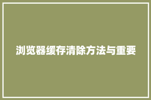 浏览器缓存清除方法与重要