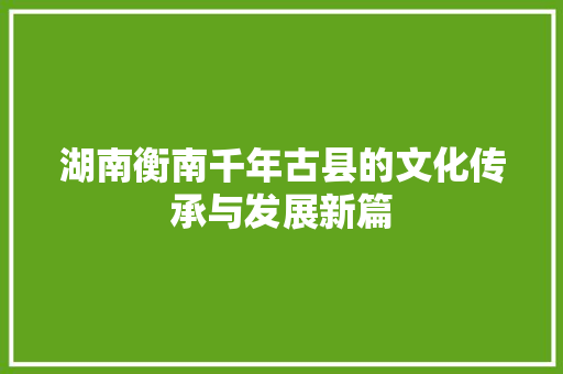 湖南衡南千年古县的文化传承与发展新篇