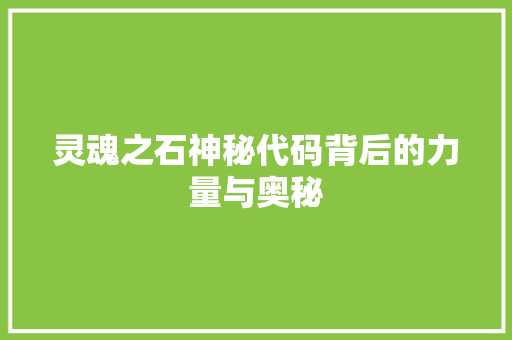 灵魂之石神秘代码背后的力量与奥秘