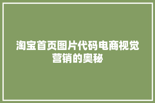淘宝首页图片代码电商视觉营销的奥秘