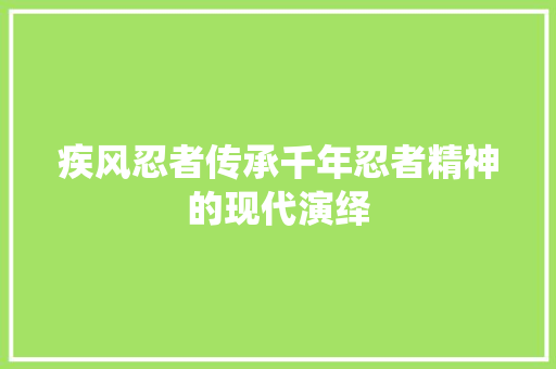 疾风忍者传承千年忍者精神的现代演绎