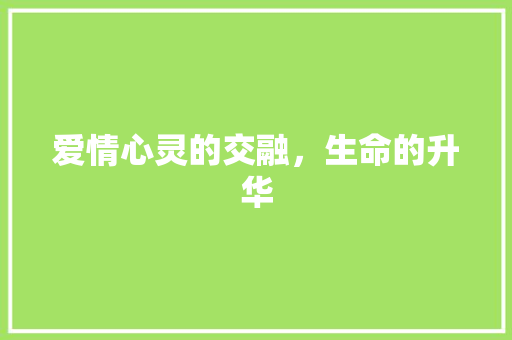爱情心灵的交融，生命的升华