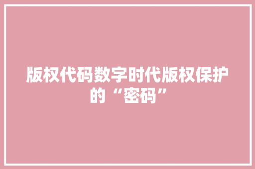 版权代码数字时代版权保护的“密码”