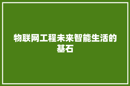 物联网工程未来智能生活的基石