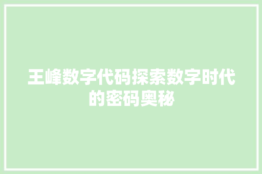 王峰数字代码探索数字时代的密码奥秘