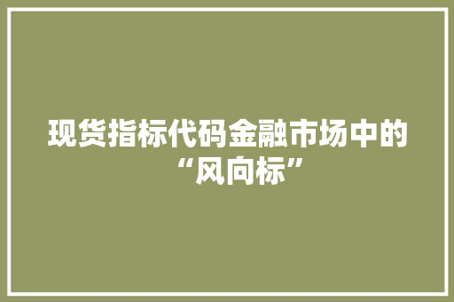 现货指标代码金融市场中的“风向标”