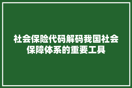 社会保险代码解码我国社会保障体系的重要工具