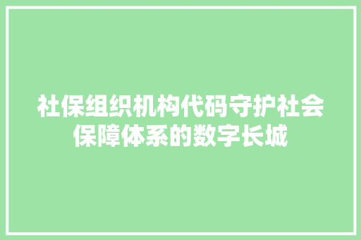 社保组织机构代码守护社会保障体系的数字长城