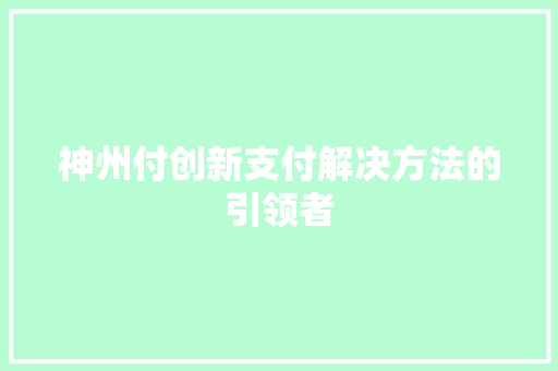 神州付创新支付解决方法的引领者