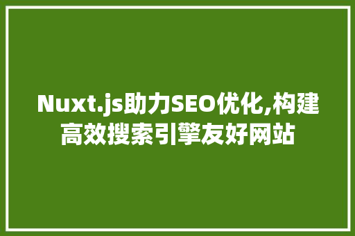 Nuxt.js助力SEO优化,构建高效搜索引擎友好网站