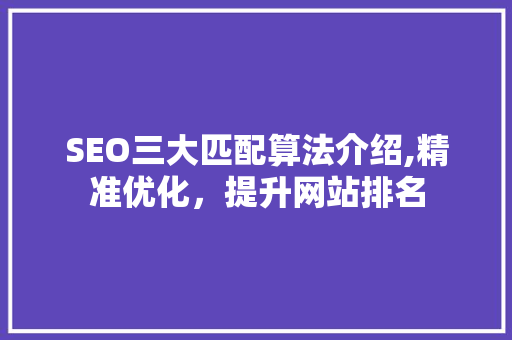SEO三大匹配算法介绍,精准优化，提升网站排名