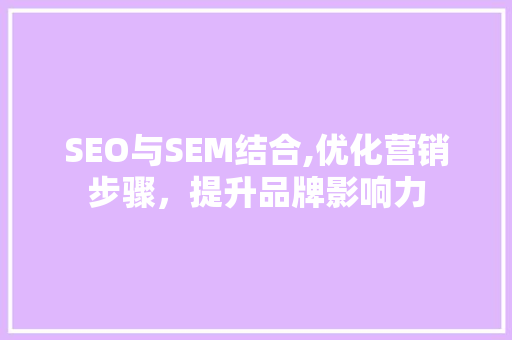 SEO与SEM结合,优化营销步骤，提升品牌影响力