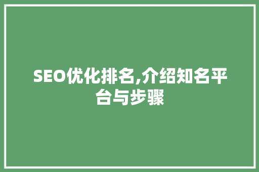 SEO优化排名,介绍知名平台与步骤