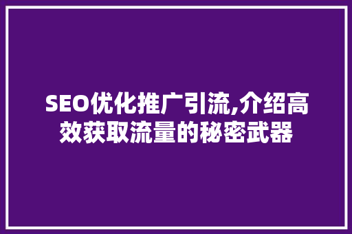 SEO优化推广引流,介绍高效获取流量的秘密武器