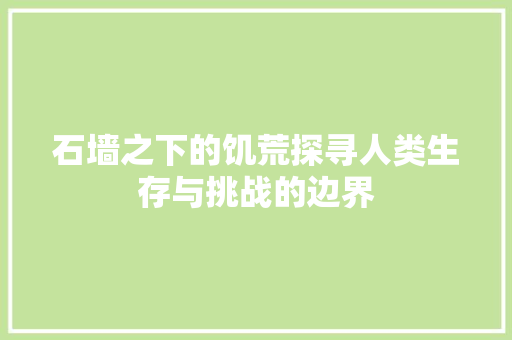 石墙之下的饥荒探寻人类生存与挑战的边界