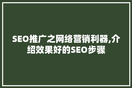 SEO推广之网络营销利器,介绍效果好的SEO步骤  第1张