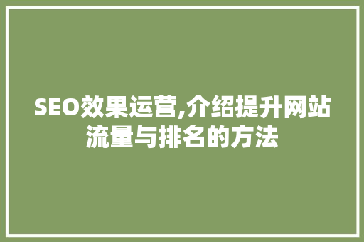 SEO效果运营,介绍提升网站流量与排名的方法