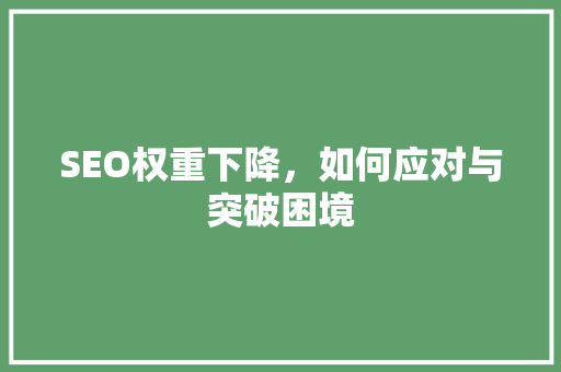 SEO权重下降，如何应对与突破困境