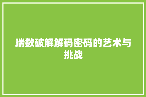 瑞数破解解码密码的艺术与挑战