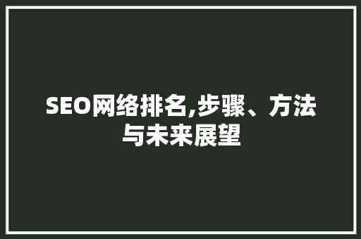 SEO网络排名,步骤、方法与未来展望