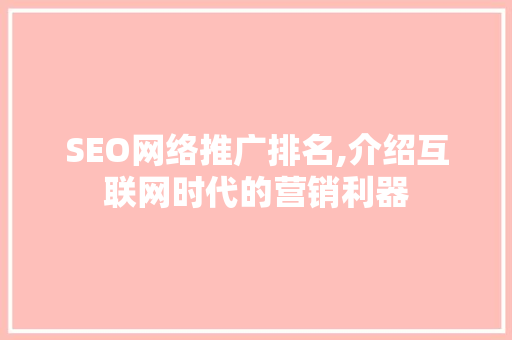 SEO网络推广排名,介绍互联网时代的营销利器