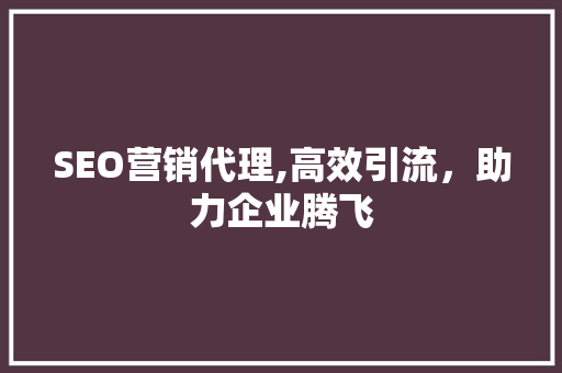 SEO营销代理,高效引流，助力企业腾飞