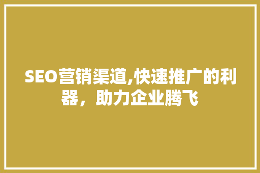 SEO营销渠道,快速推广的利器，助力企业腾飞