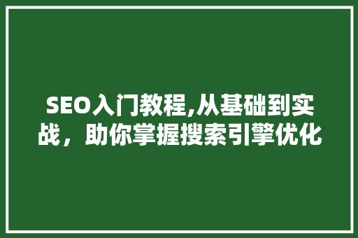 SEO入门教程,从基础到实战，助你掌握搜索引擎优化方法