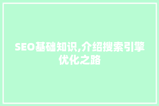 SEO基础知识,介绍搜索引擎优化之路
