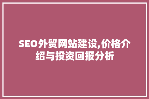 SEO外贸网站建设,价格介绍与投资回报分析