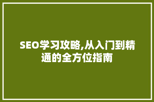 SEO学习攻略,从入门到精通的全方位指南
