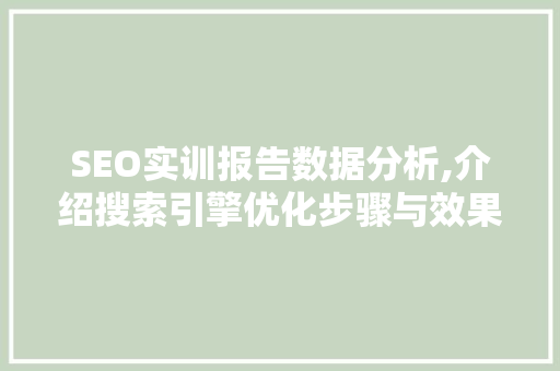 SEO实训报告数据分析,介绍搜索引擎优化步骤与效果