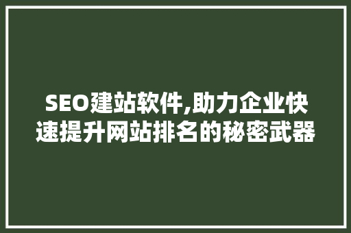 SEO建站软件,助力企业快速提升网站排名的秘密武器