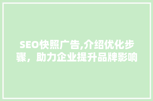 SEO快照广告,介绍优化步骤，助力企业提升品牌影响力